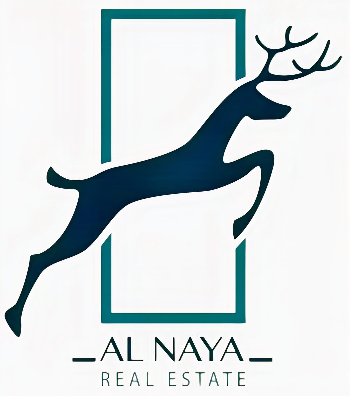 Al Naya Real Estate