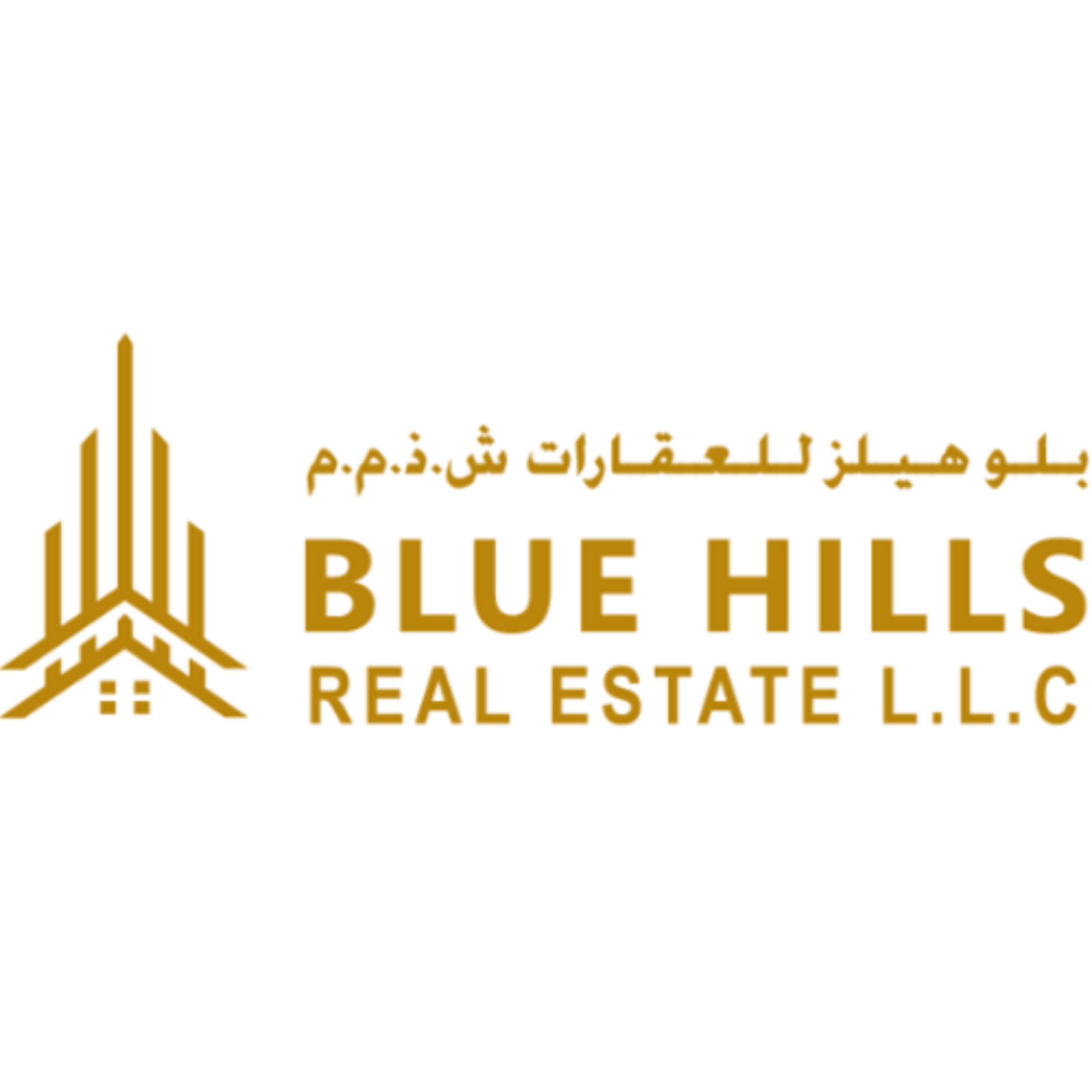 Blue Hills Real Estate