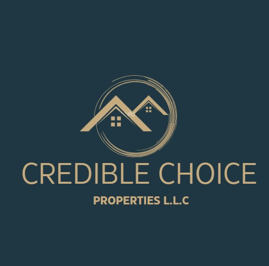 Credible Choice Properties