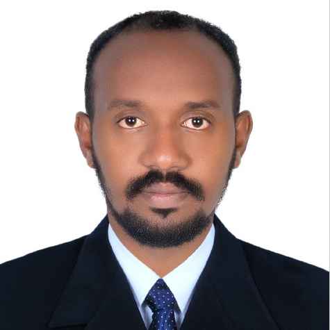 Walieldin Mohamed Ali