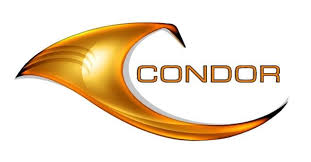 Condor Group logo