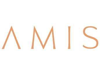 Amis Properties logo