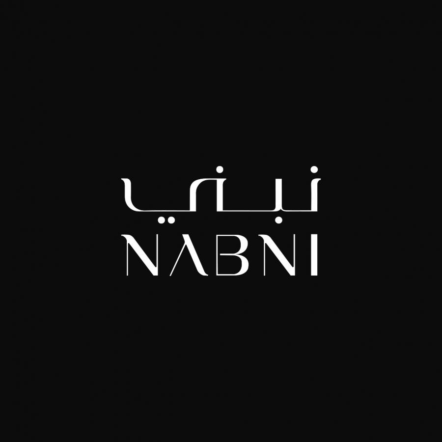 Nabni Developments logo