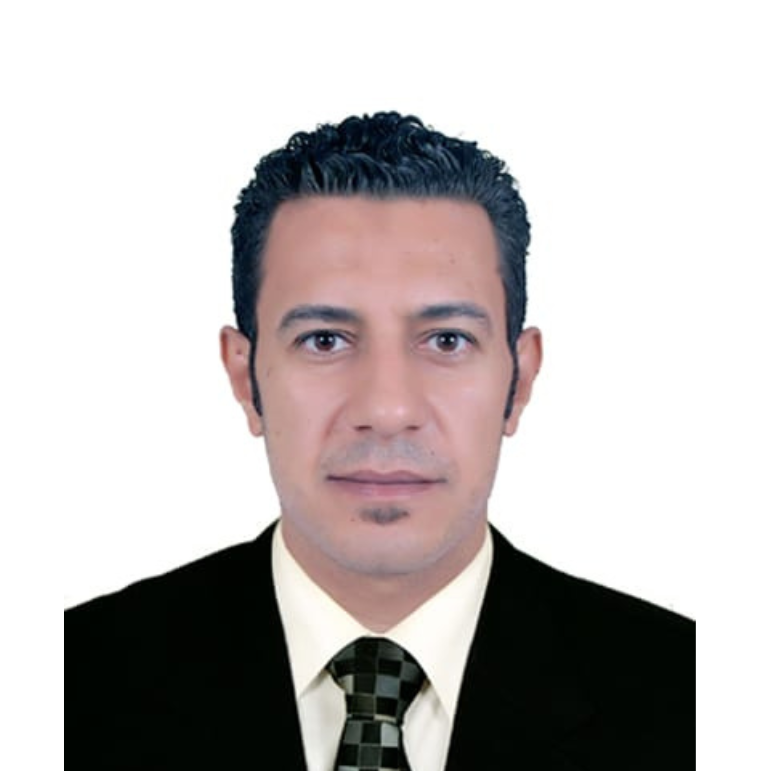 Hussein Helmy Hassan