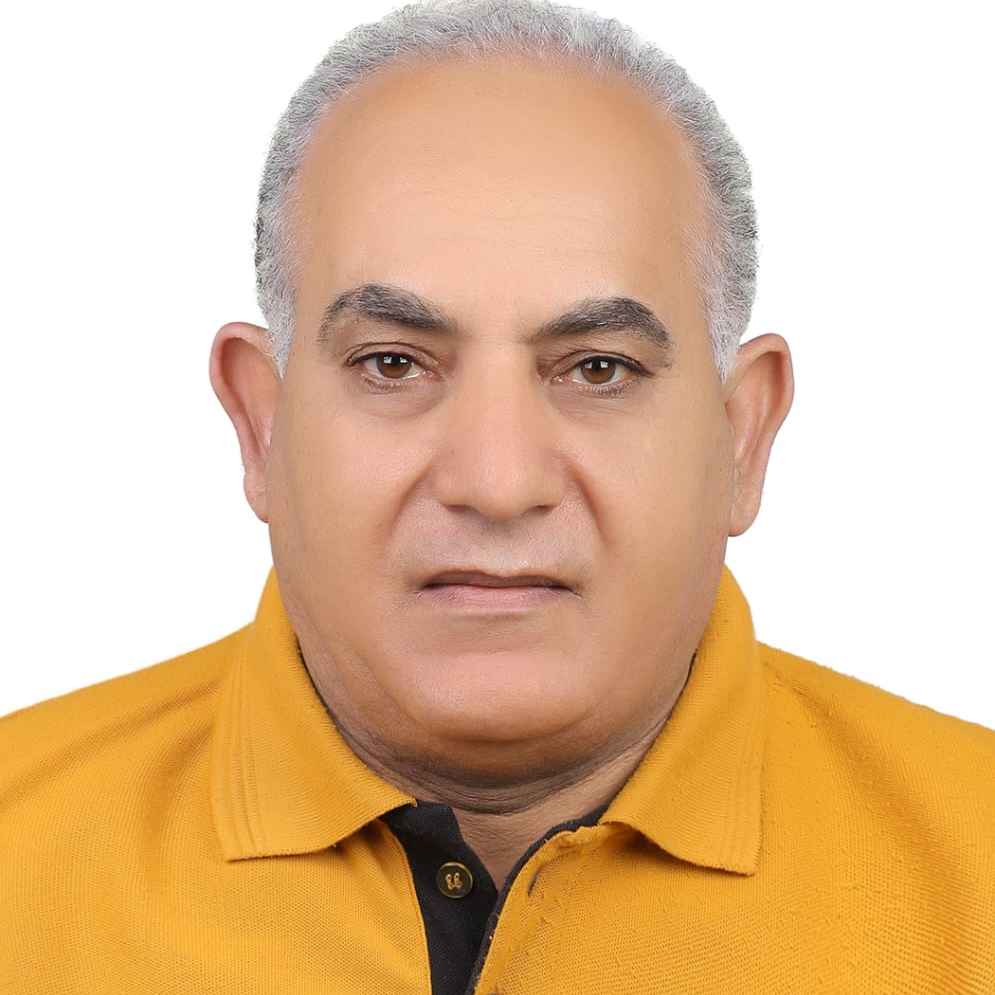 Mahmoud Elmekkawi