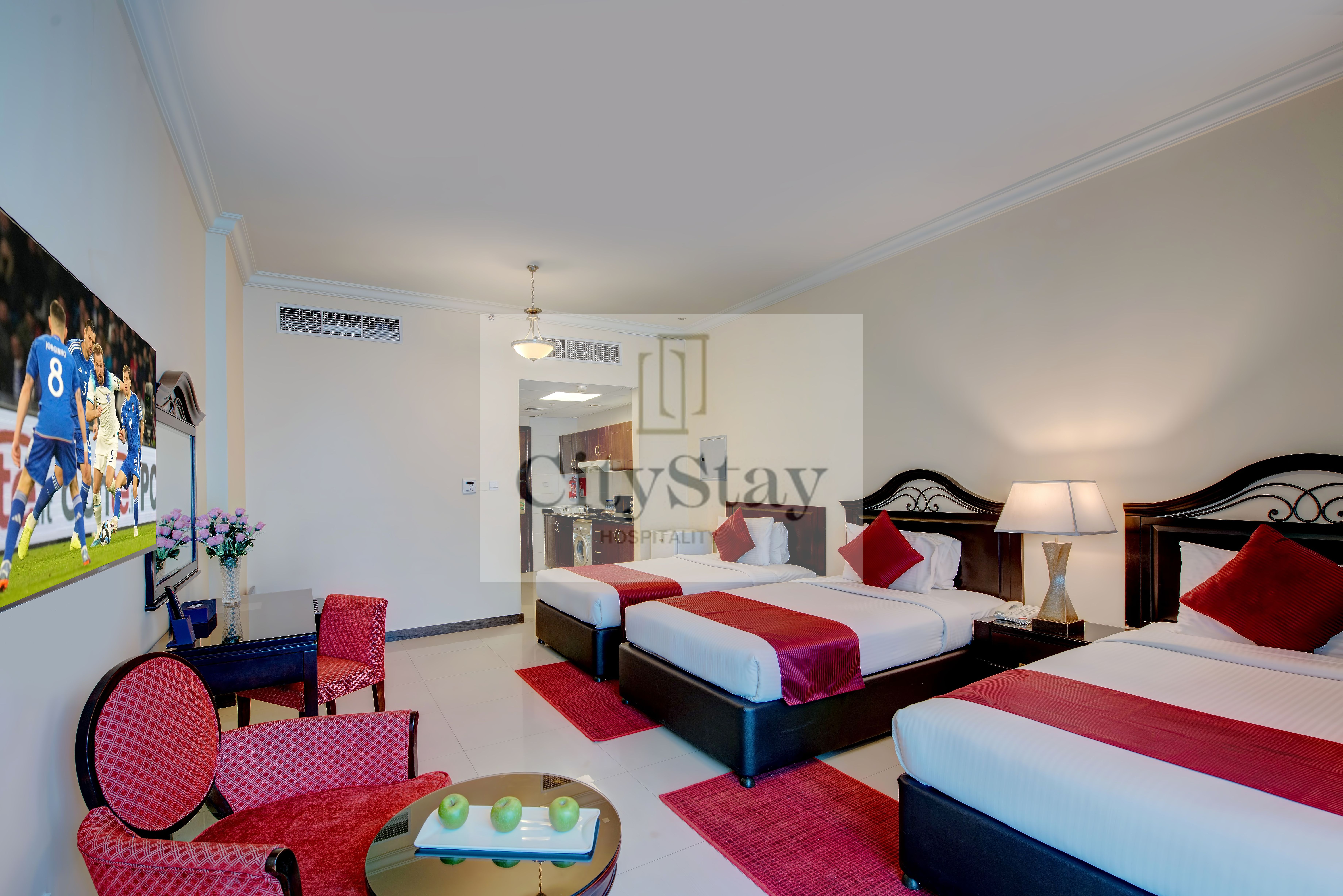Lavish Studio!Free House Keeping! Near Metro