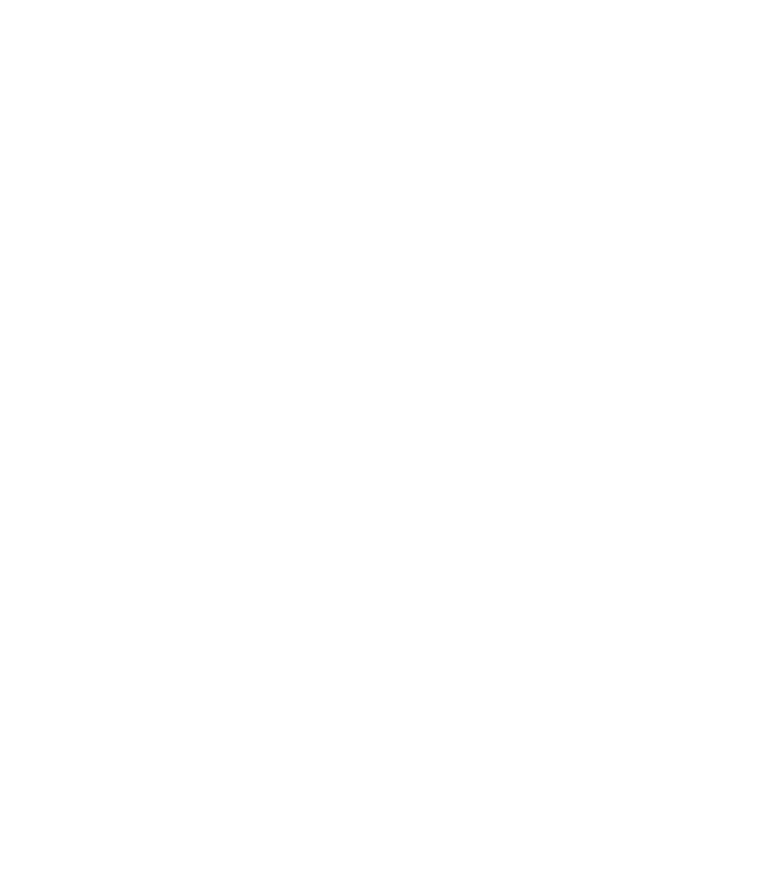 Ermax Development