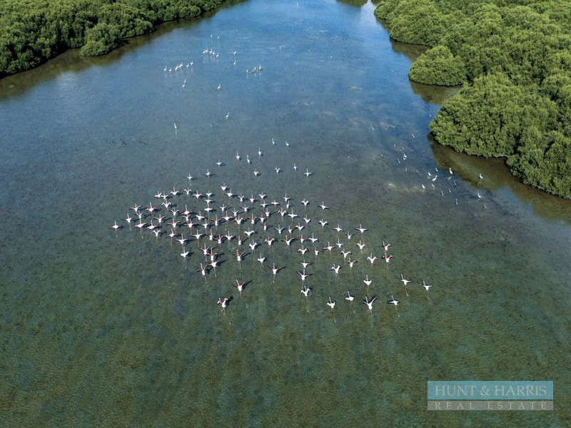 2 Bedroom for Sale Al Zorah Ci...