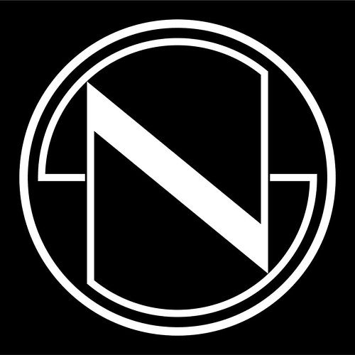 Nest Seekers Luxury Real Estate logo