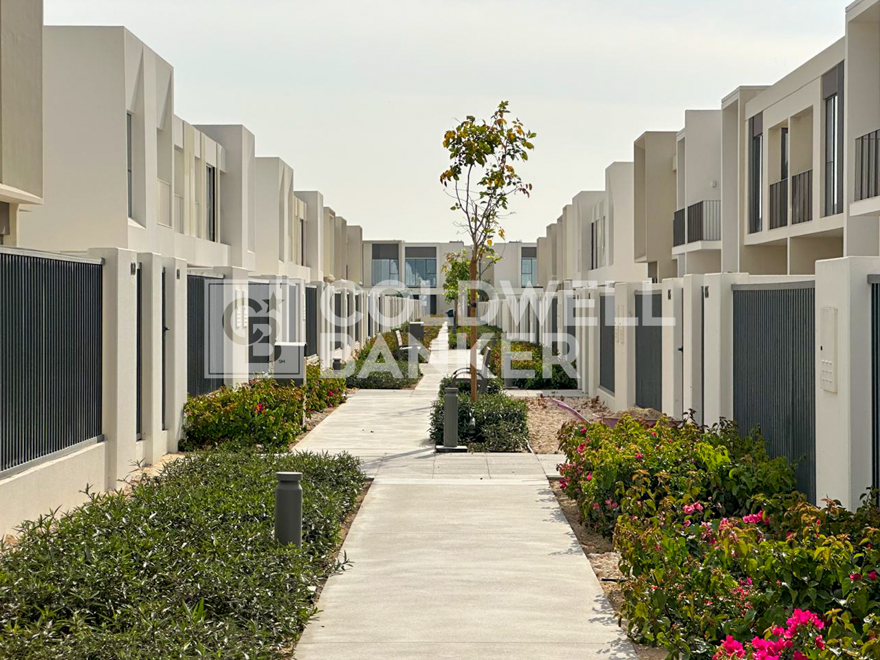 Single Row | Brand New | Talia Townhouse