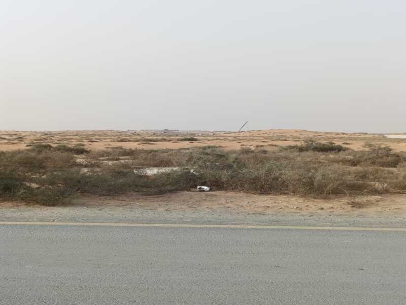 For sale, a plot of land in the Al-Saj’a area, with an area of one million square feet, freehold for all nationalities and usufruct for foreigners.