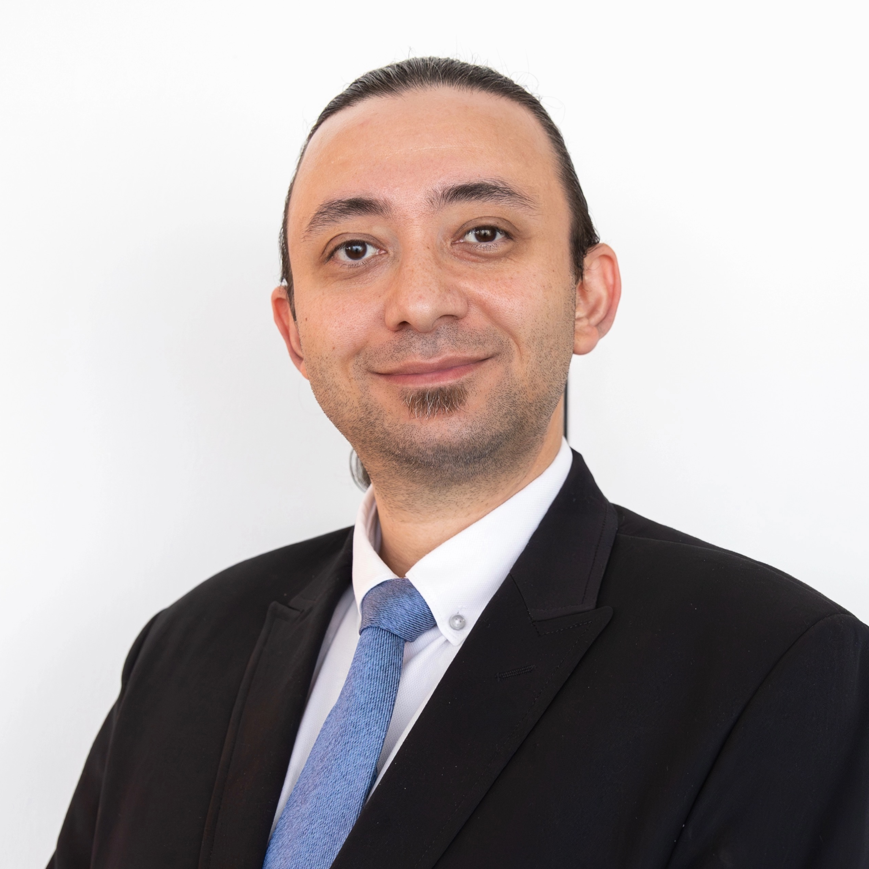 Seyed Mohammad Hossein Amid