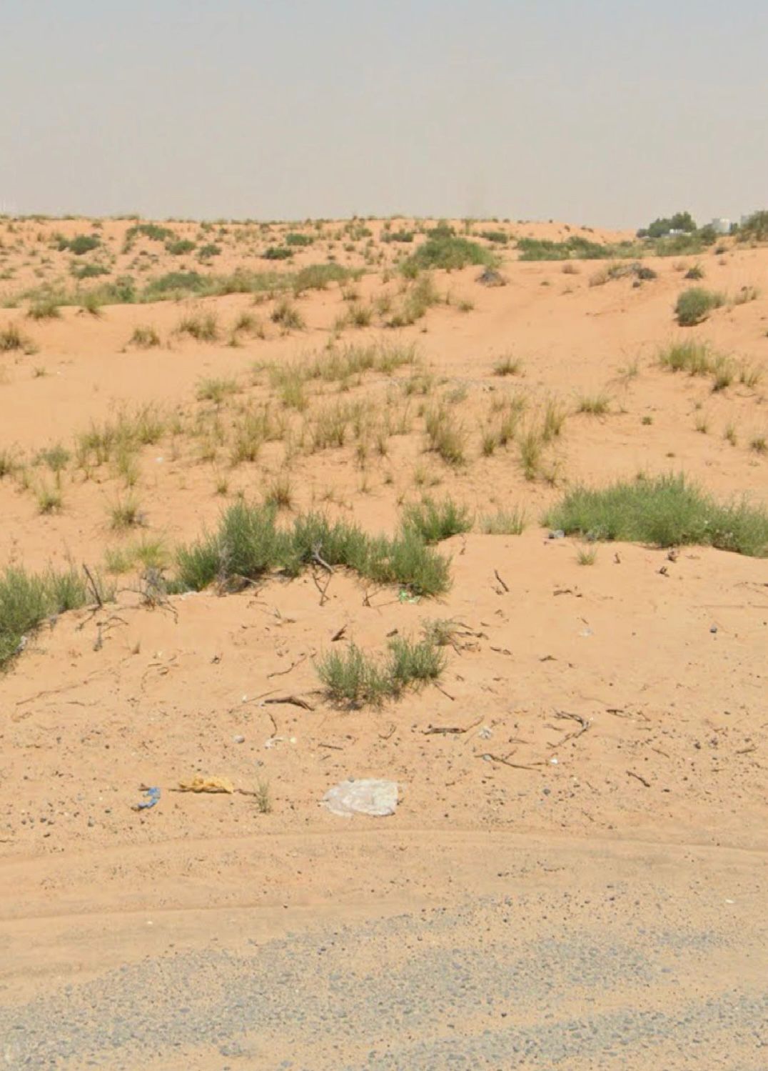 Massive Industrial Land for Sale in Al Sajaa, Sharjah