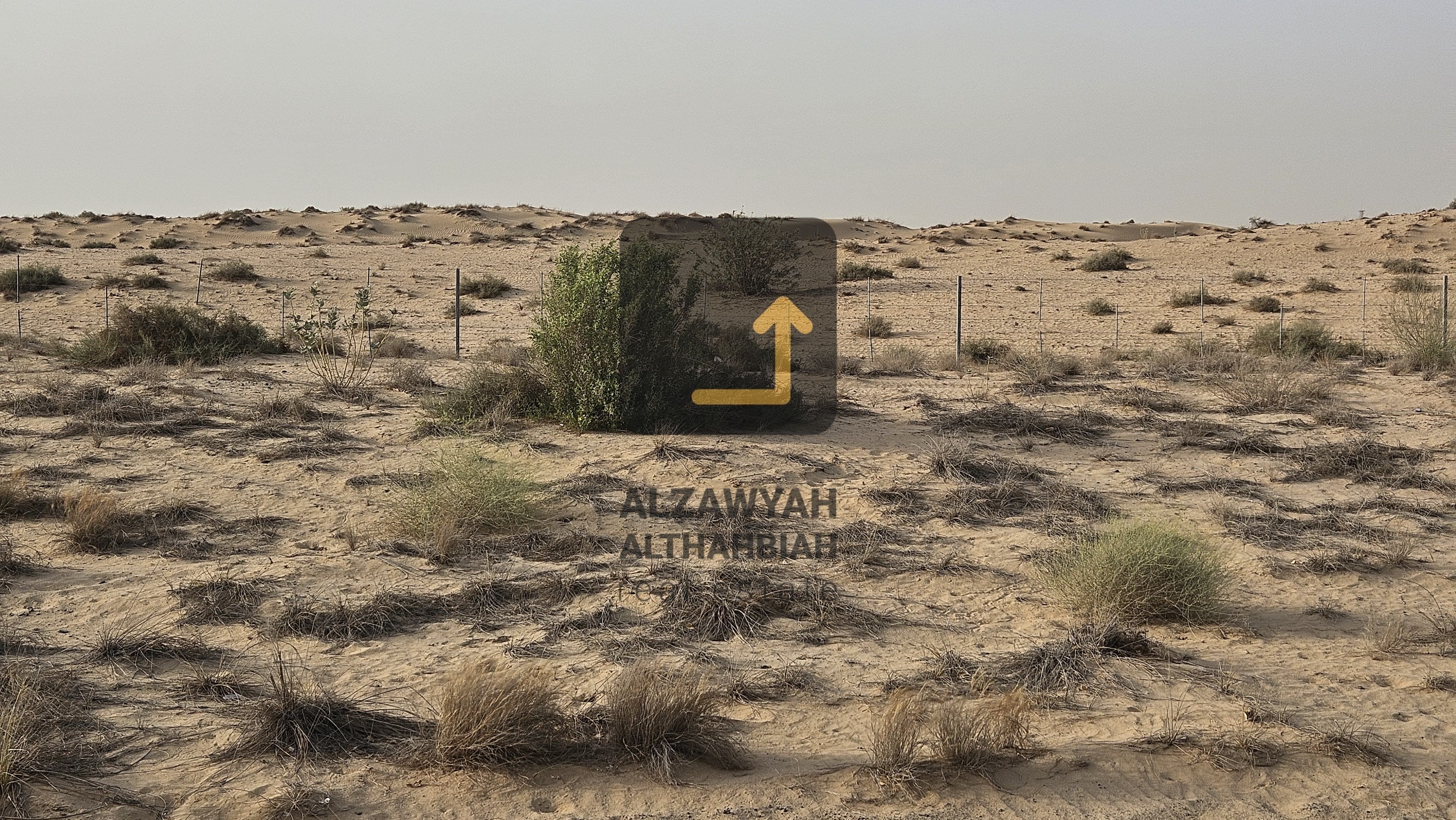 Investment Opportunity for Arabs | Exceptional Prices | Limited Plots in Rodat Al Sidr