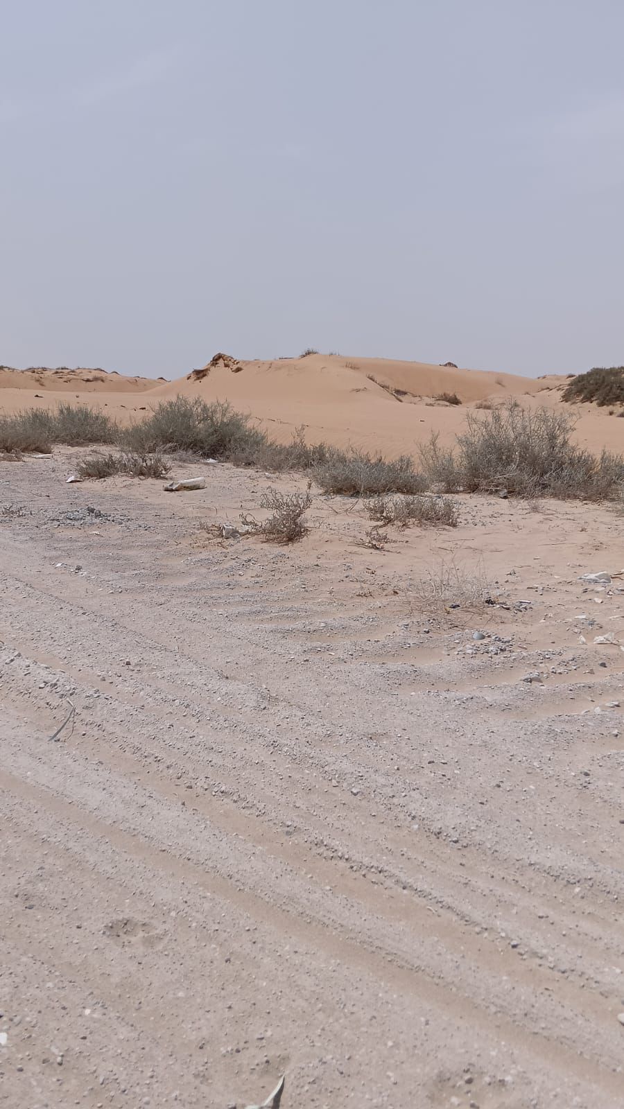 Massive Industrial/Commercial Plot for Sale – Umm Al Thuoob, Umm Al Quwain