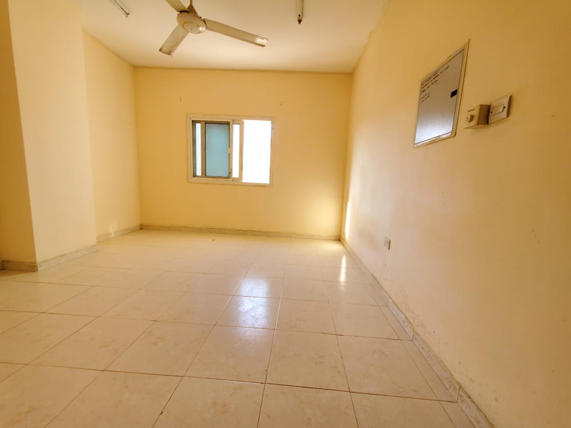 Amazing studio apartment close to the park mole.