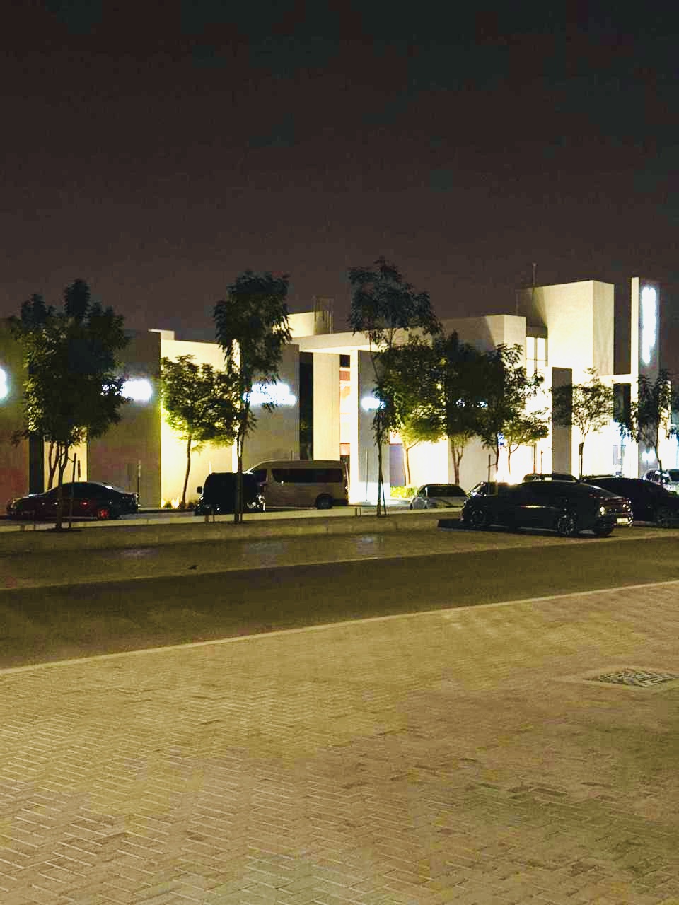 Luxury 3bhk villa 5washroom full fur Furniture with maid room Lundary room