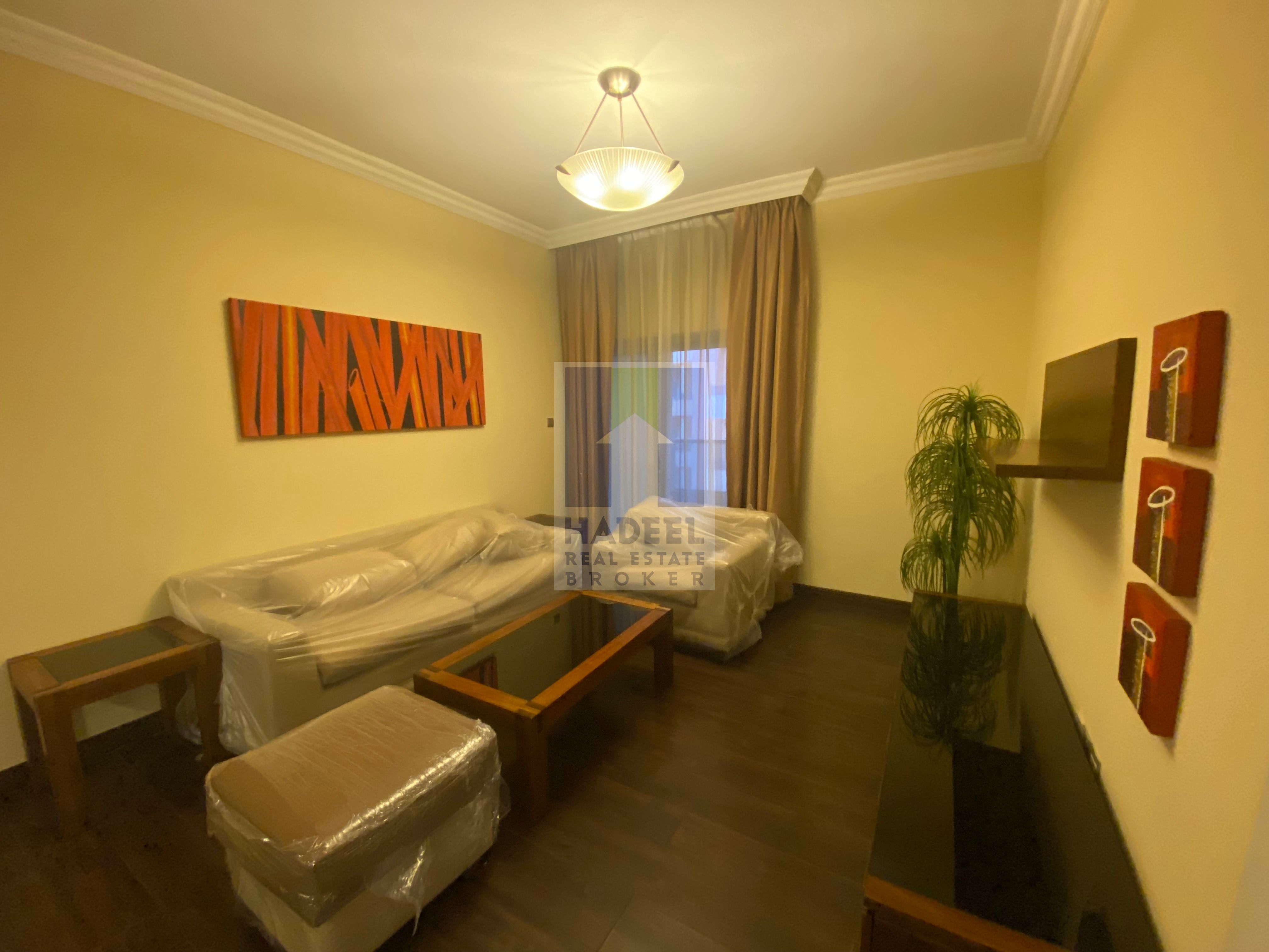 LARGE 1 BHK APARTMENT AC CHILLER FREE