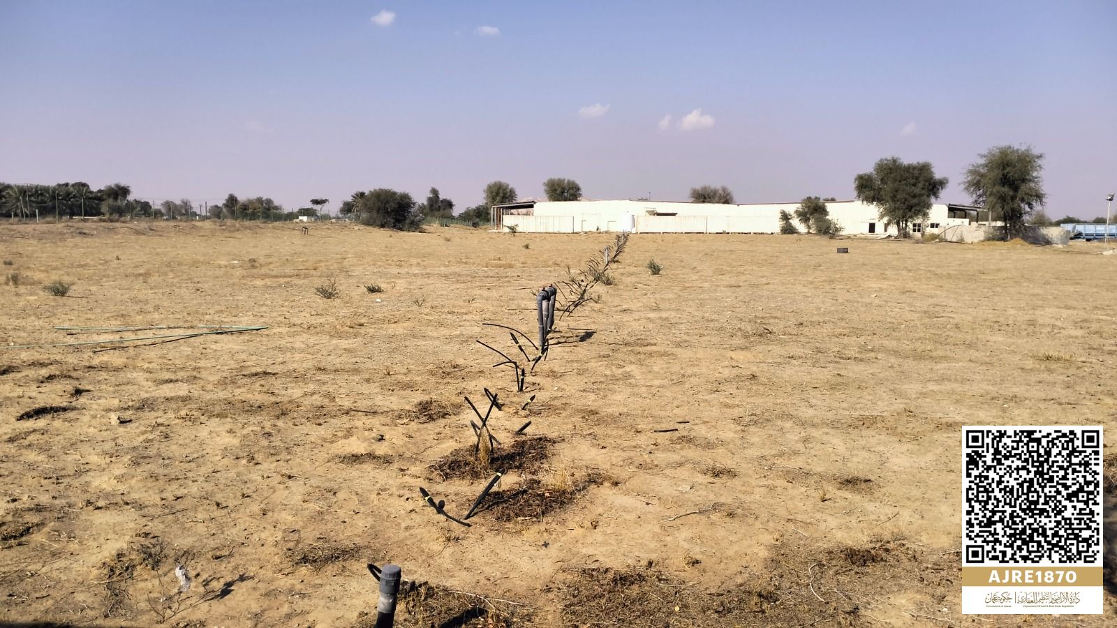 Farm for rent in Almudam Sharjah on lease huge land with 10 warehouses each warehouse size 35m X 5.5m, electricity and water pump also available