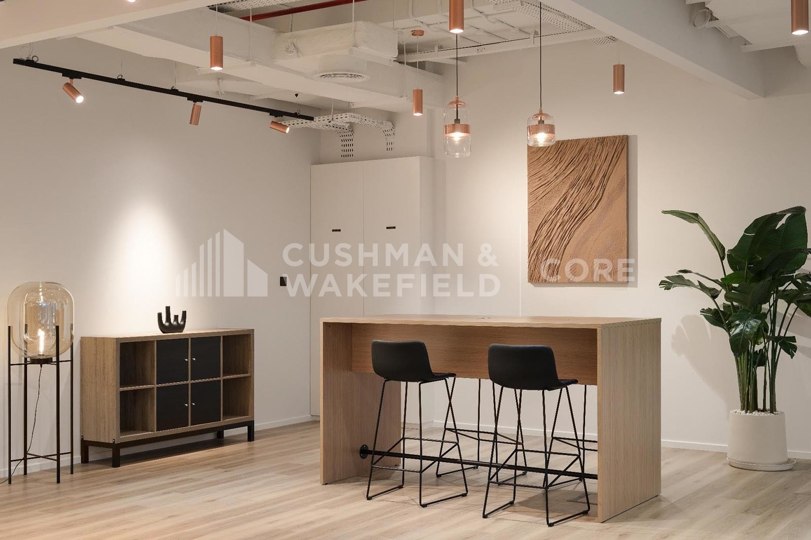 Plug and Play | Brand New Office | DED License