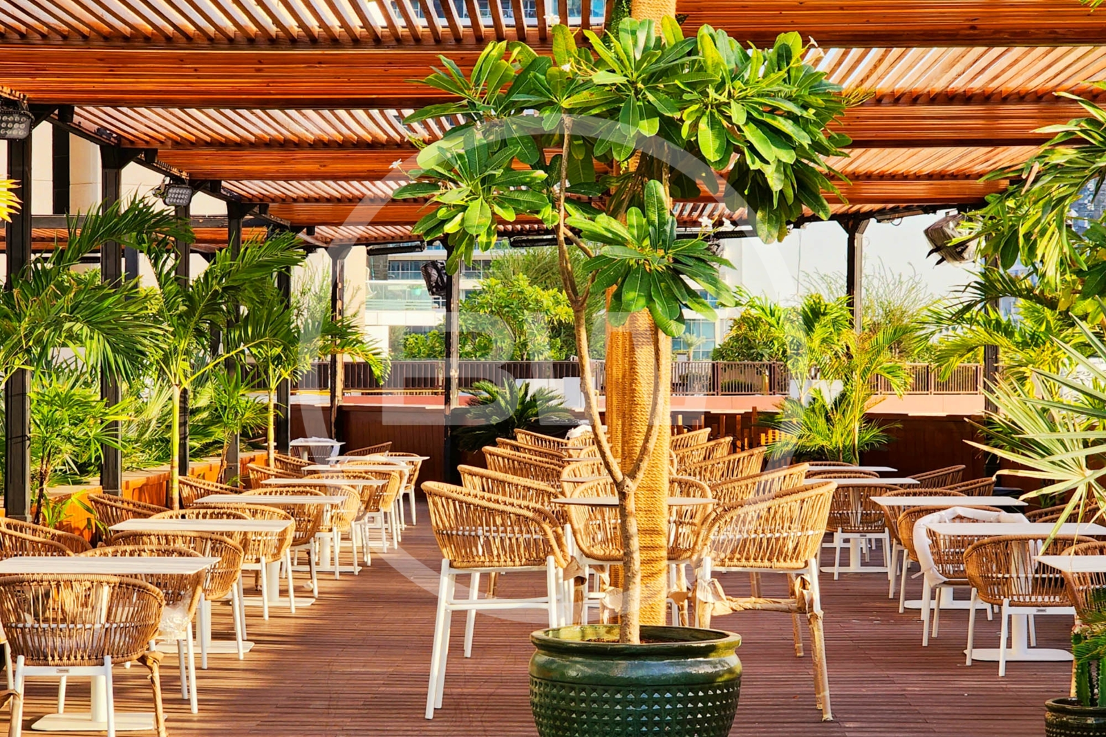 VACANT NOW | LICENCED BAR AND SHISHA LOUNGE