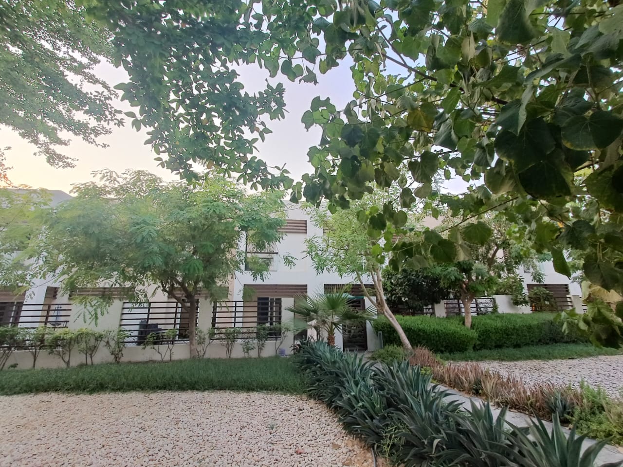 For Rent || Fully Furnished 3BR Villa || Flamingo