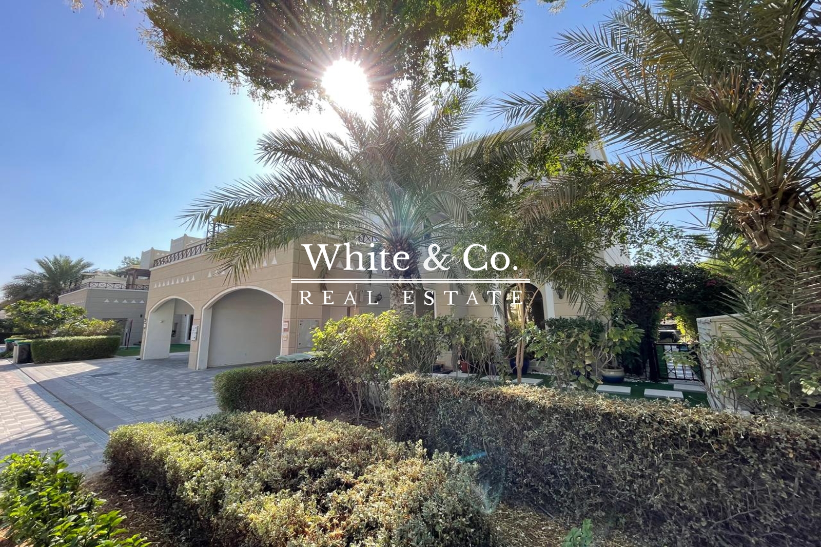Peaceful | Single Row | Huge Corner Plot