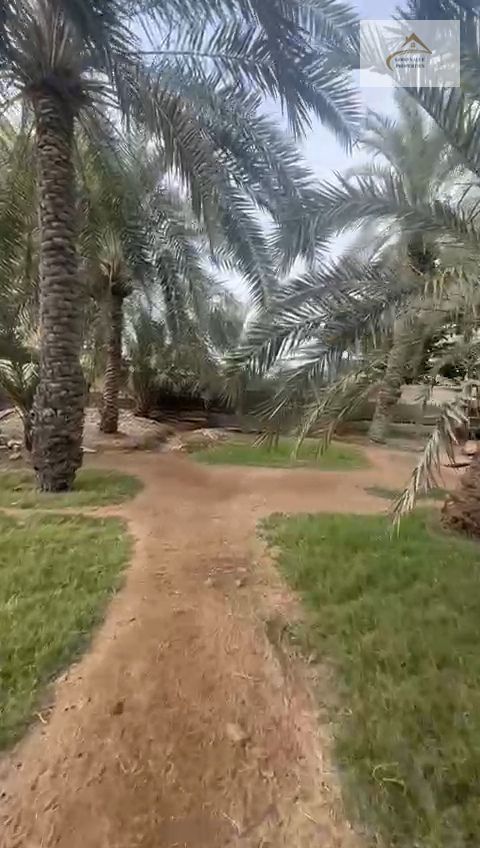 A very Huge size Farm house in the corniche of Fujairah