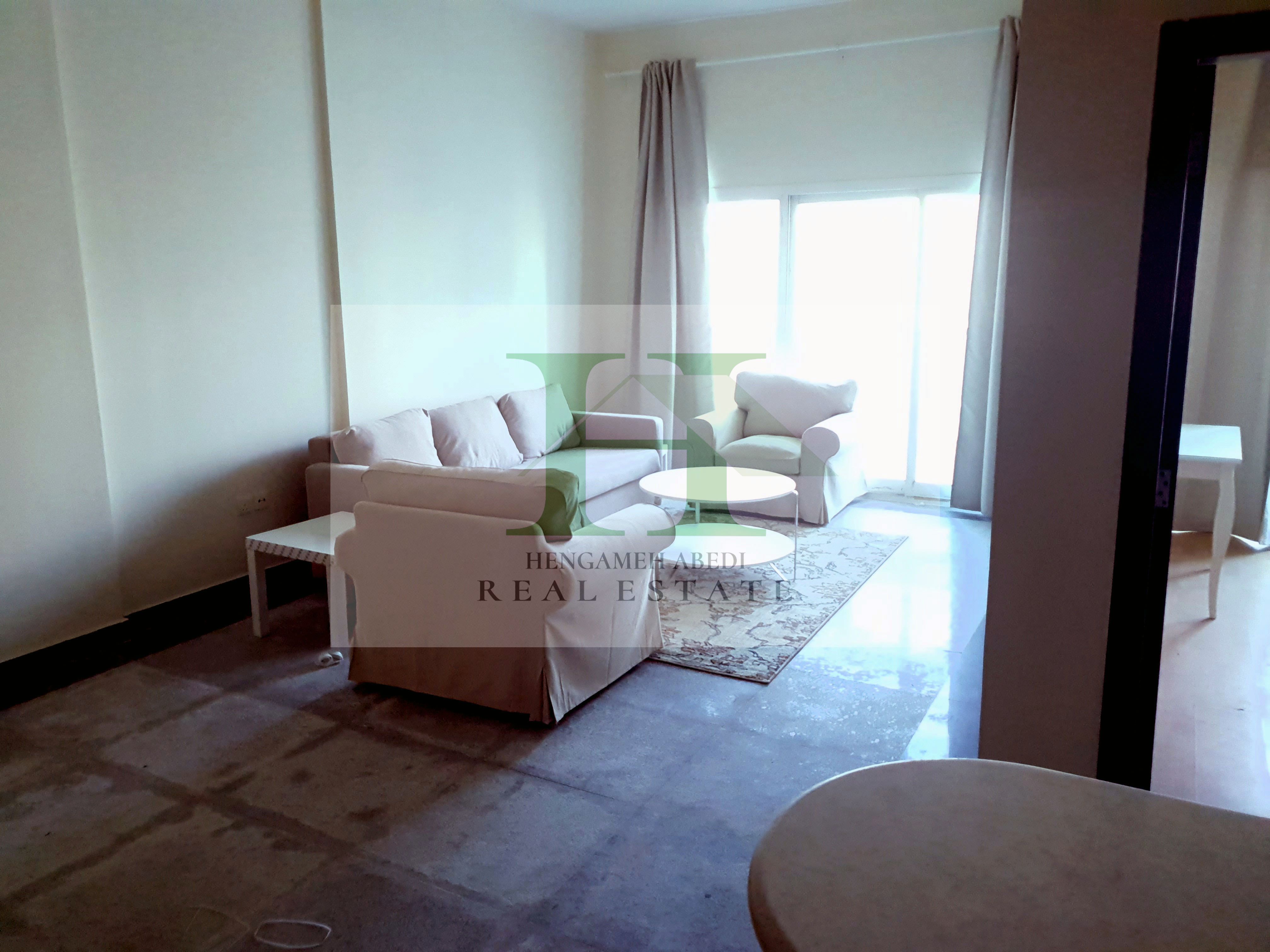 Spacious 1-Bedroom Apartment in Zenith A1