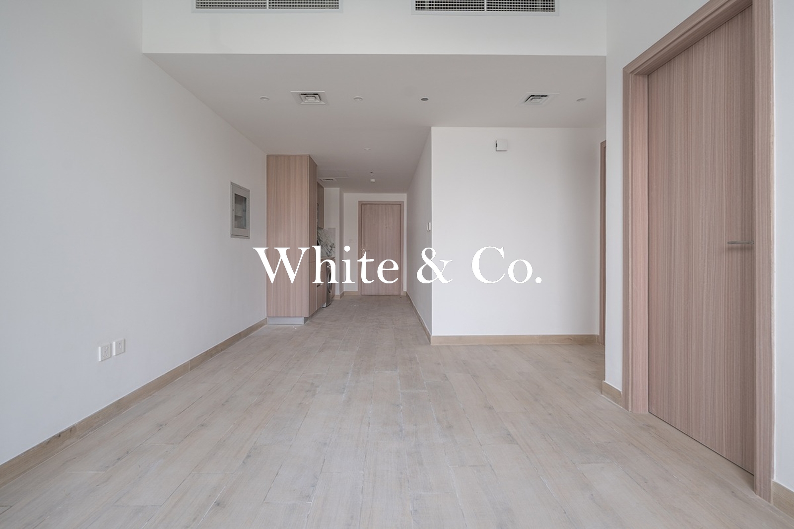 Vacant Today | Shows Well | Open Living
