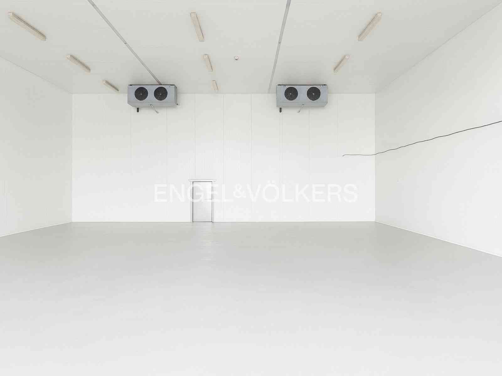 Cold Storage | First Warehouse | High Ceiling