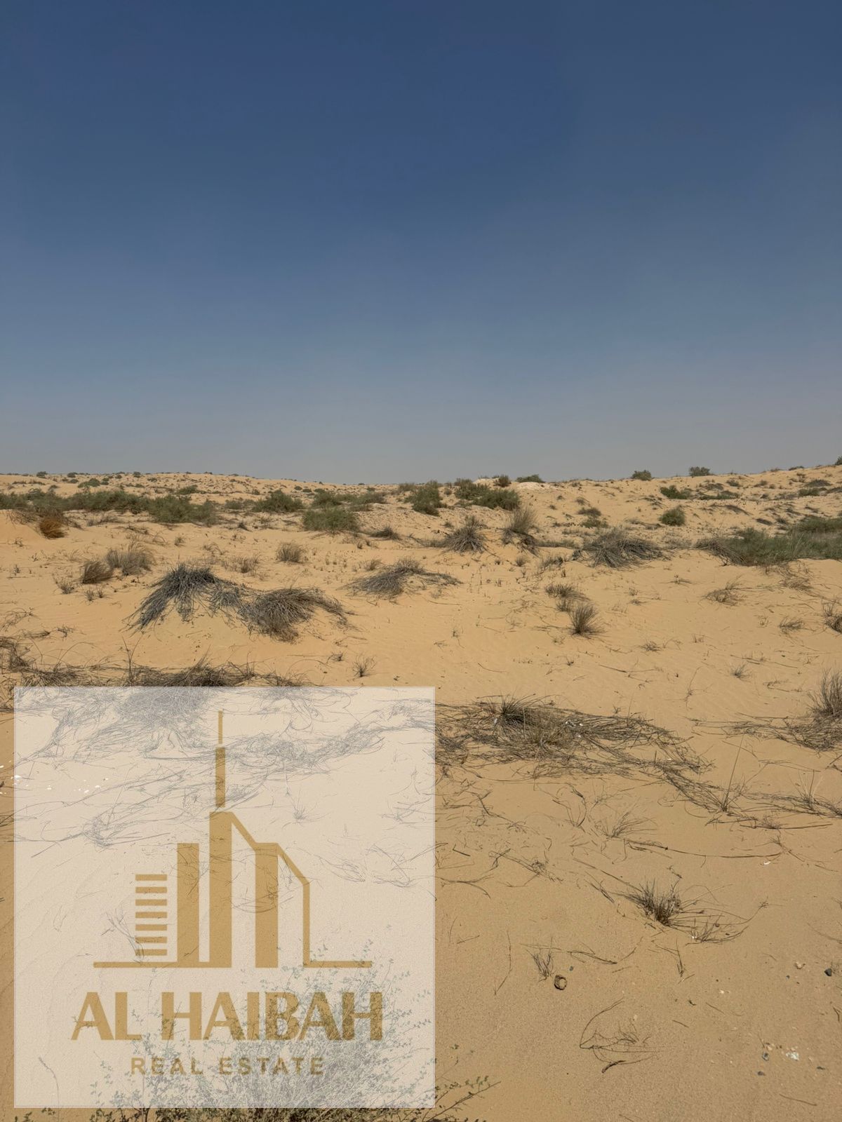 Land for sale: Residential and commercial plots in Al-Ruwaidat Project - Al Dhaid. Your golden opportunity to own land in a prime location
