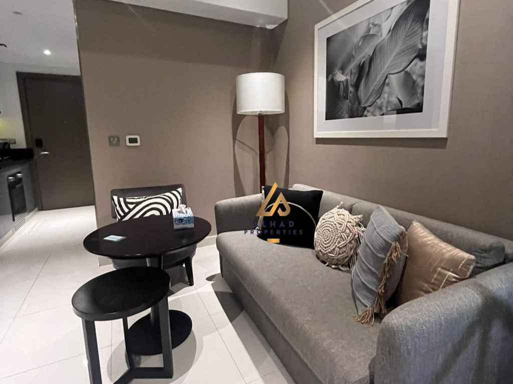 LUXURY STUDIO 4 cheques specious FURNISHED