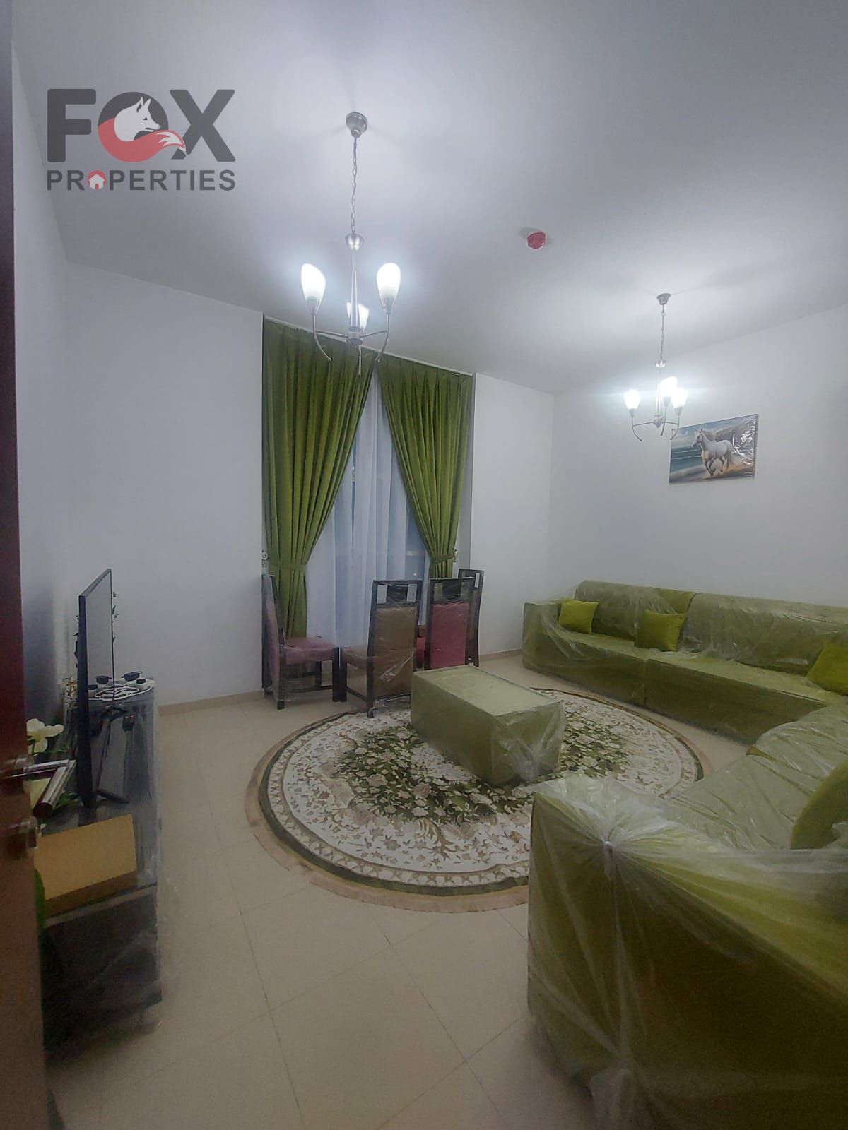 Freehold for all nationalities | Great price | Direct interest-free installments with developer | Open view