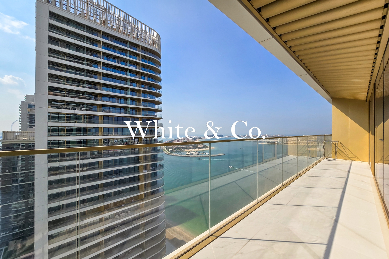 Palm and Skyline Views | Multiple Options