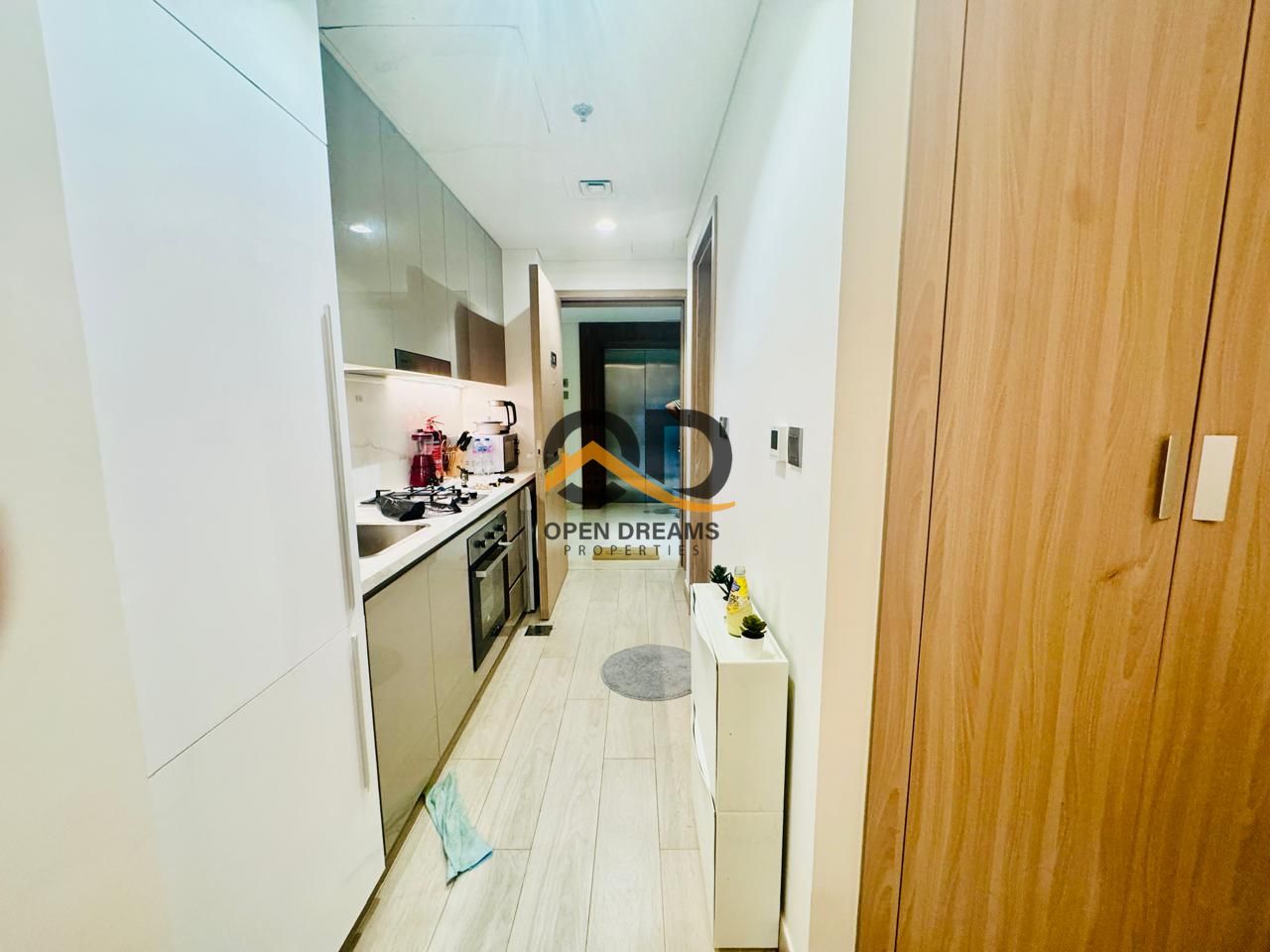 Spacious Fully Furnished Studio In Azizi Riviera in 65k