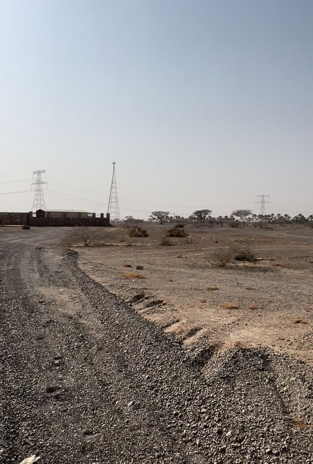 Golden Opportunity: Prime Land for Sale in Al Manama 1