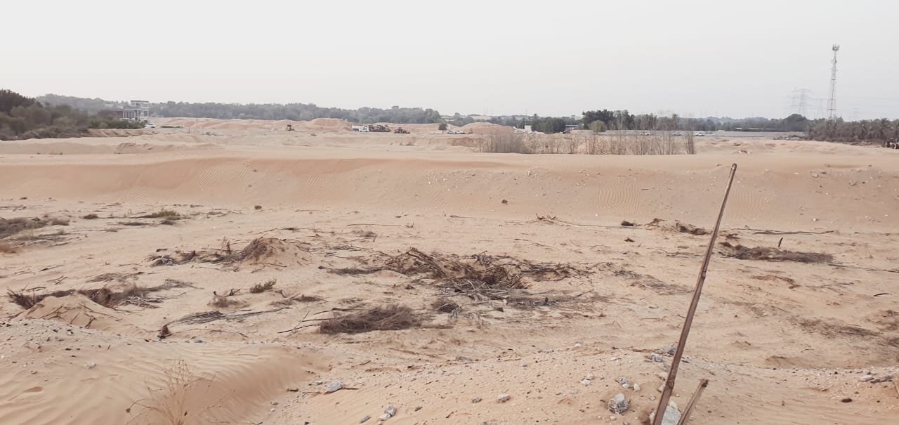 Spacious Industrial Plot for Sale – Al Manama – 127,000 SQFT