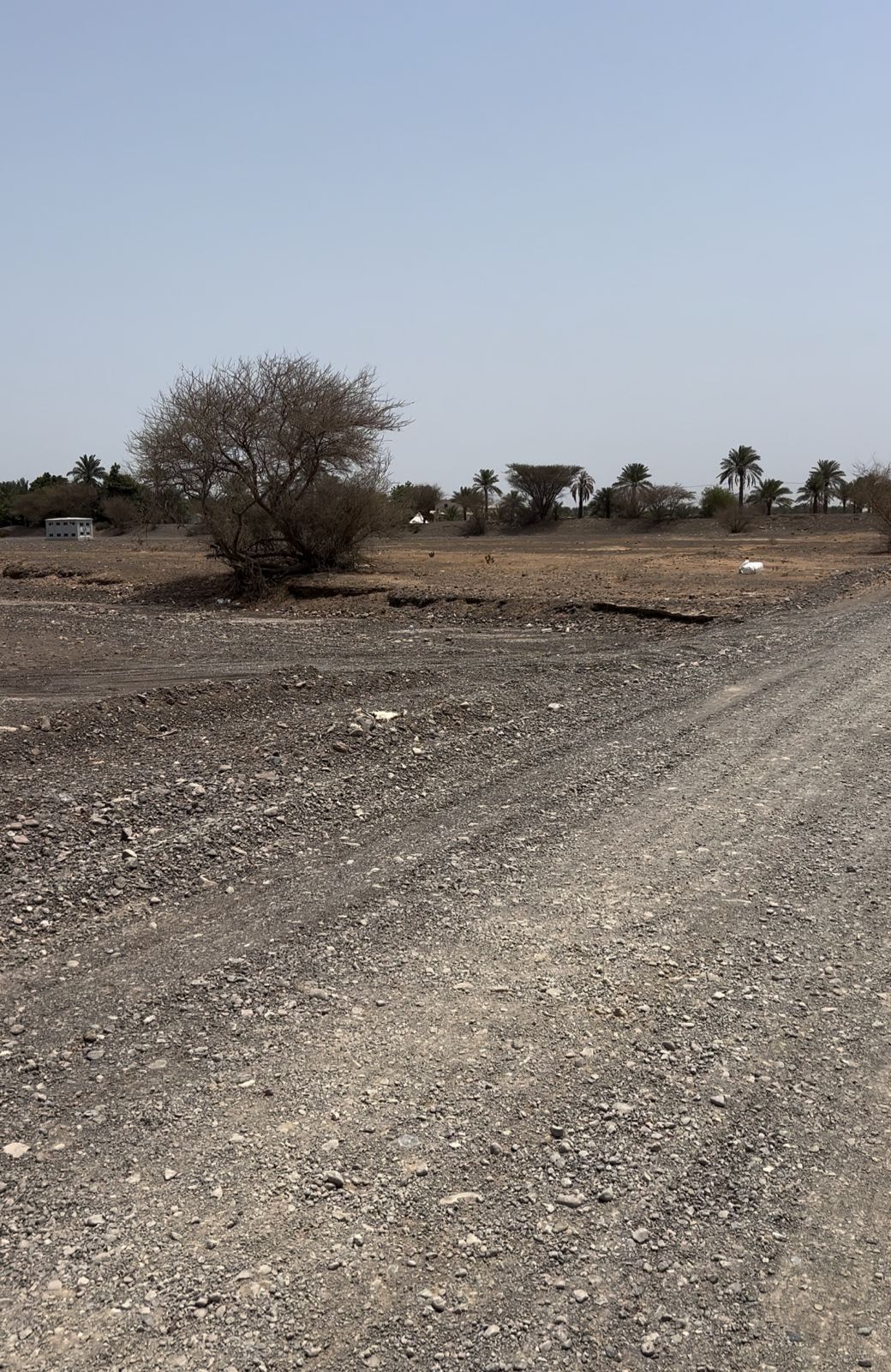 Prime Commercial/Residential Land for Sale in Al Manama 1, Ajman