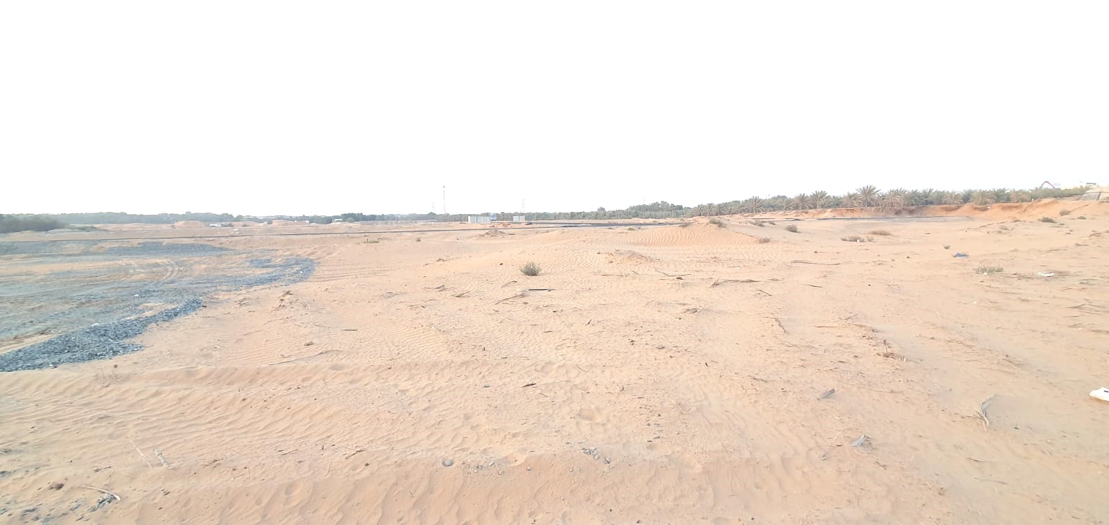 Hot Property for Sale – 22,450 Sq Ft Plot in Prime Location, Al Aamra