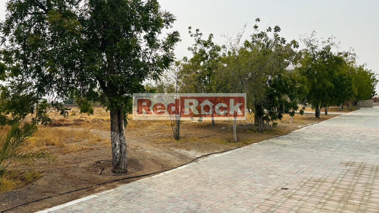 Luxury Villas with Farm in Al Dhaid for Sale