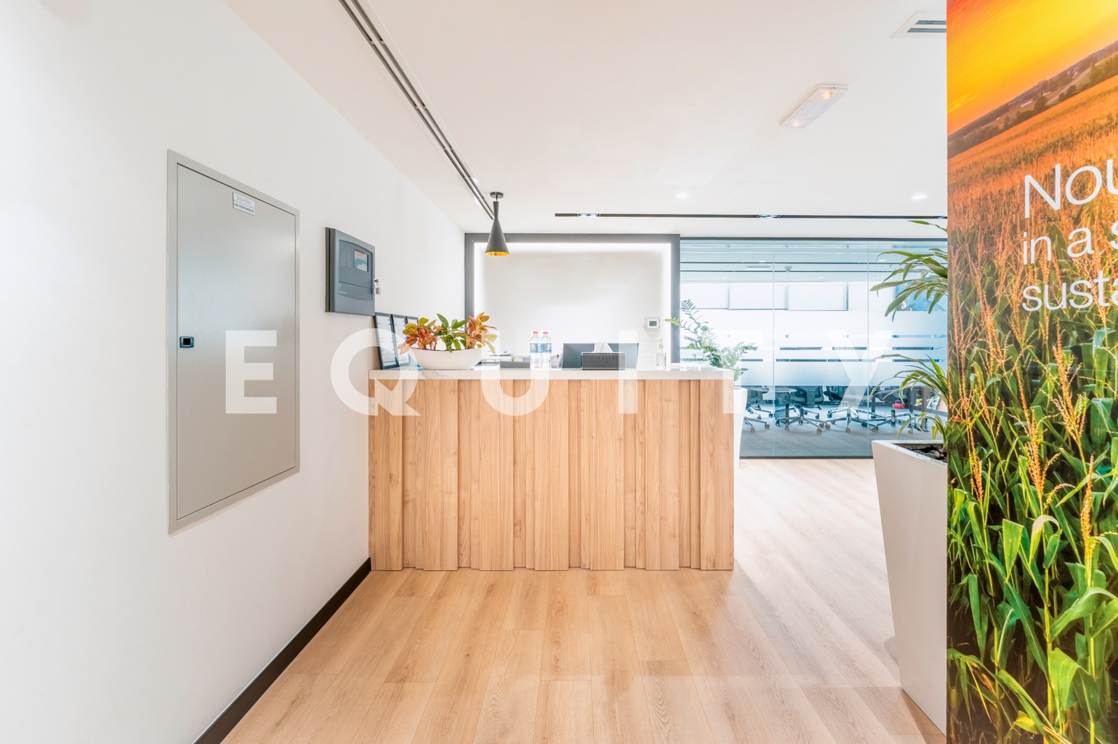 Investment Opportunity | Blue Chip Tenant