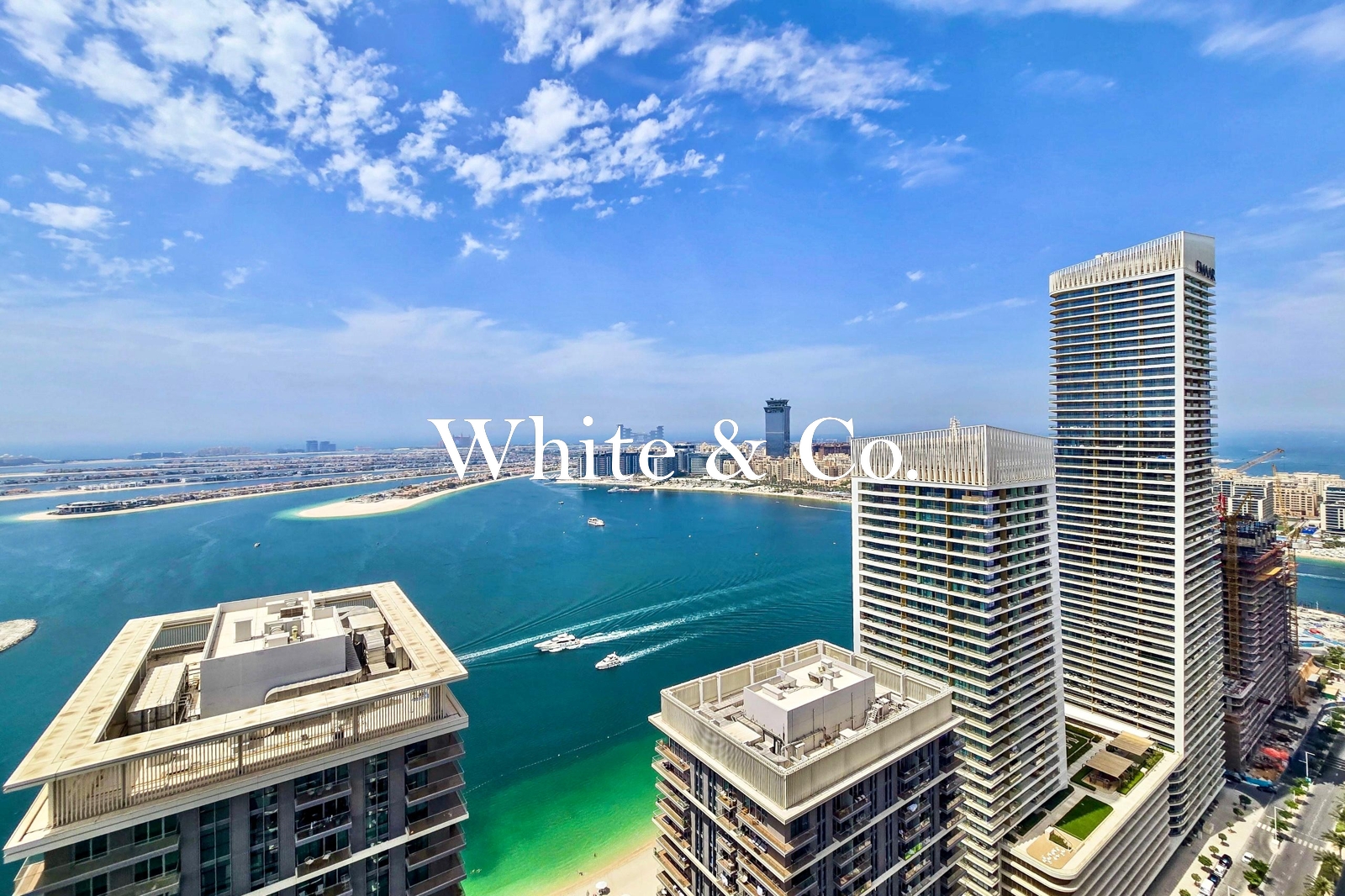 Exclusive | Very High Floor | Full Palm