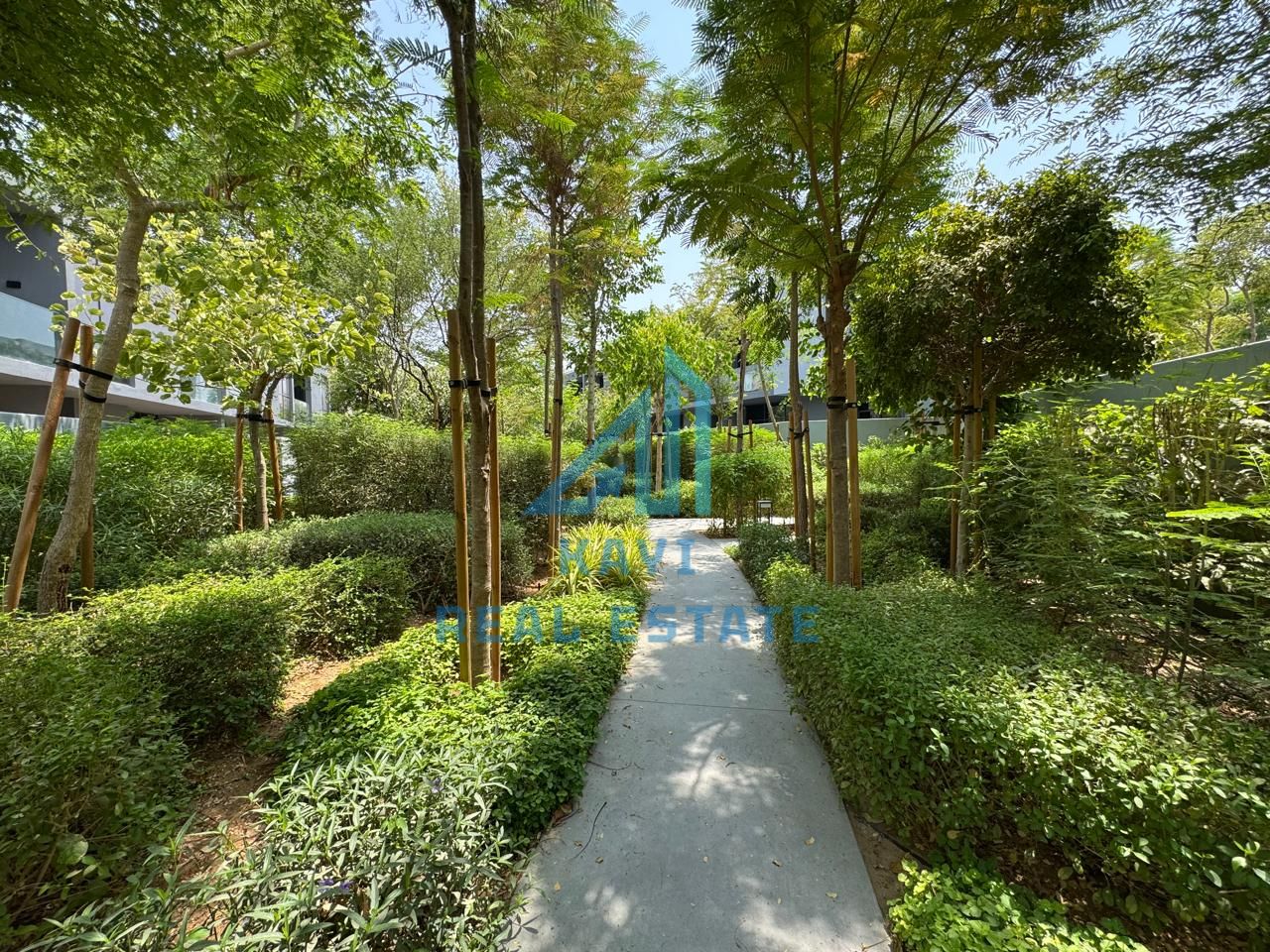 Live the Premium Life in Kaya Masaar
