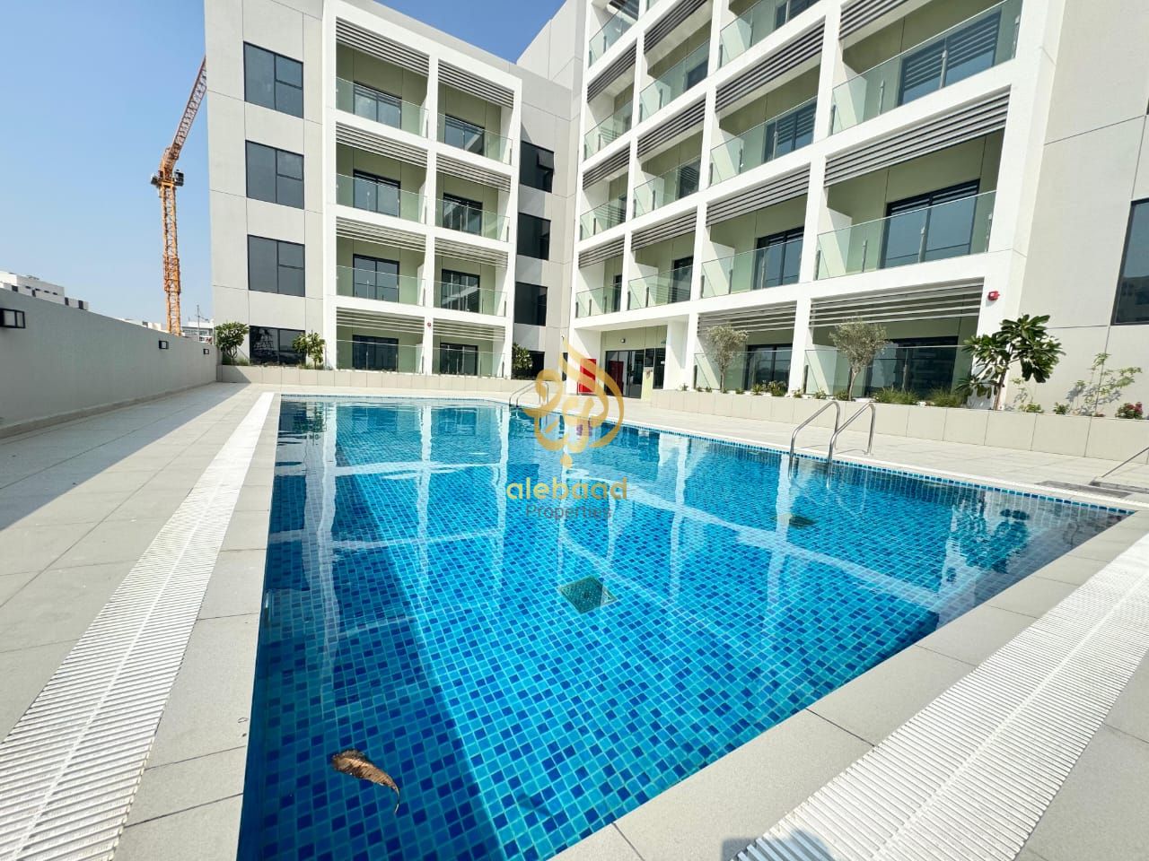 New Building || Specious 1BHK Apartment || All Amenities || For Family