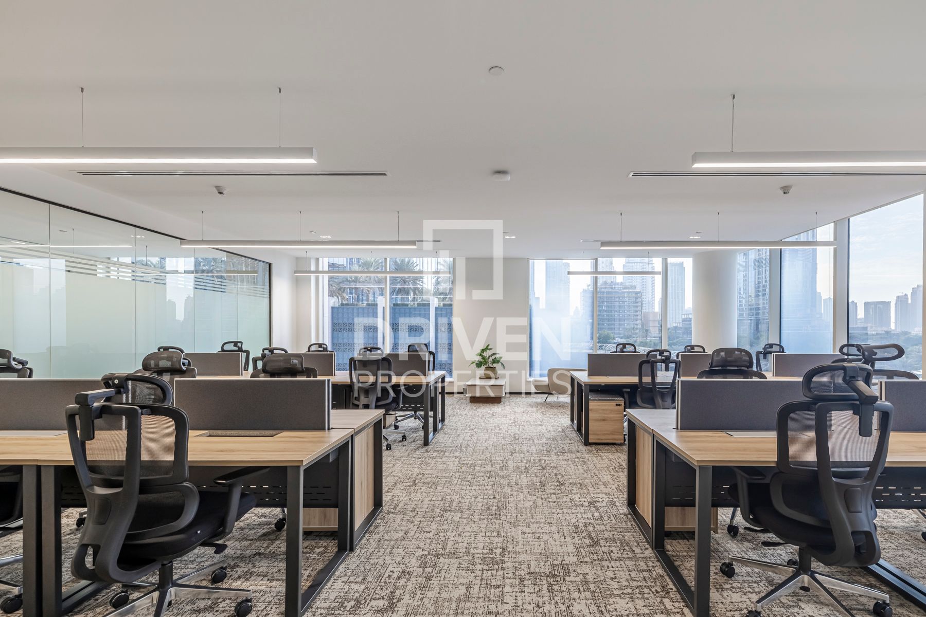 More Options | Furnished | Co-working Space