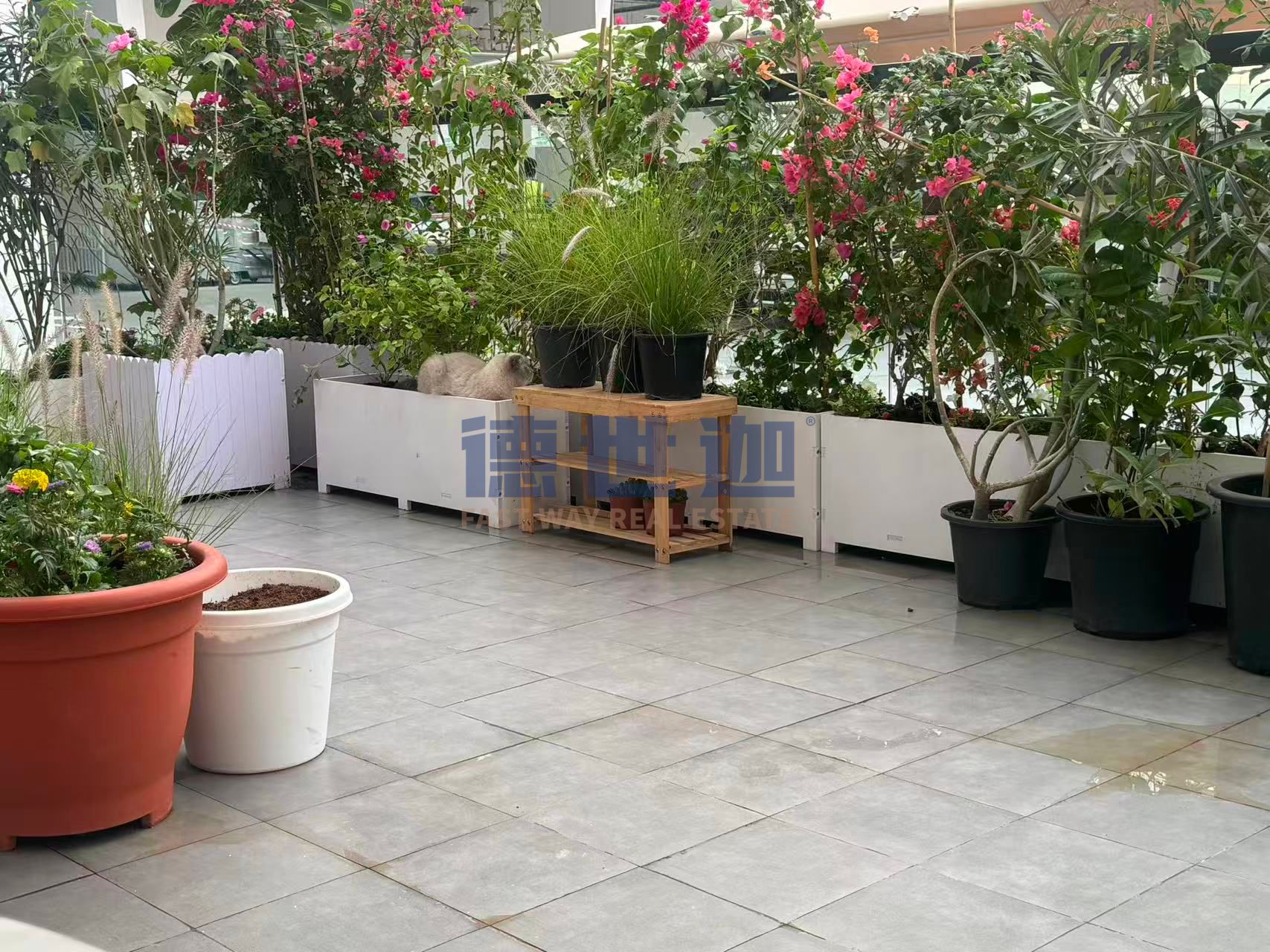 1BR | Large Garden | Vacant & Ready to Move