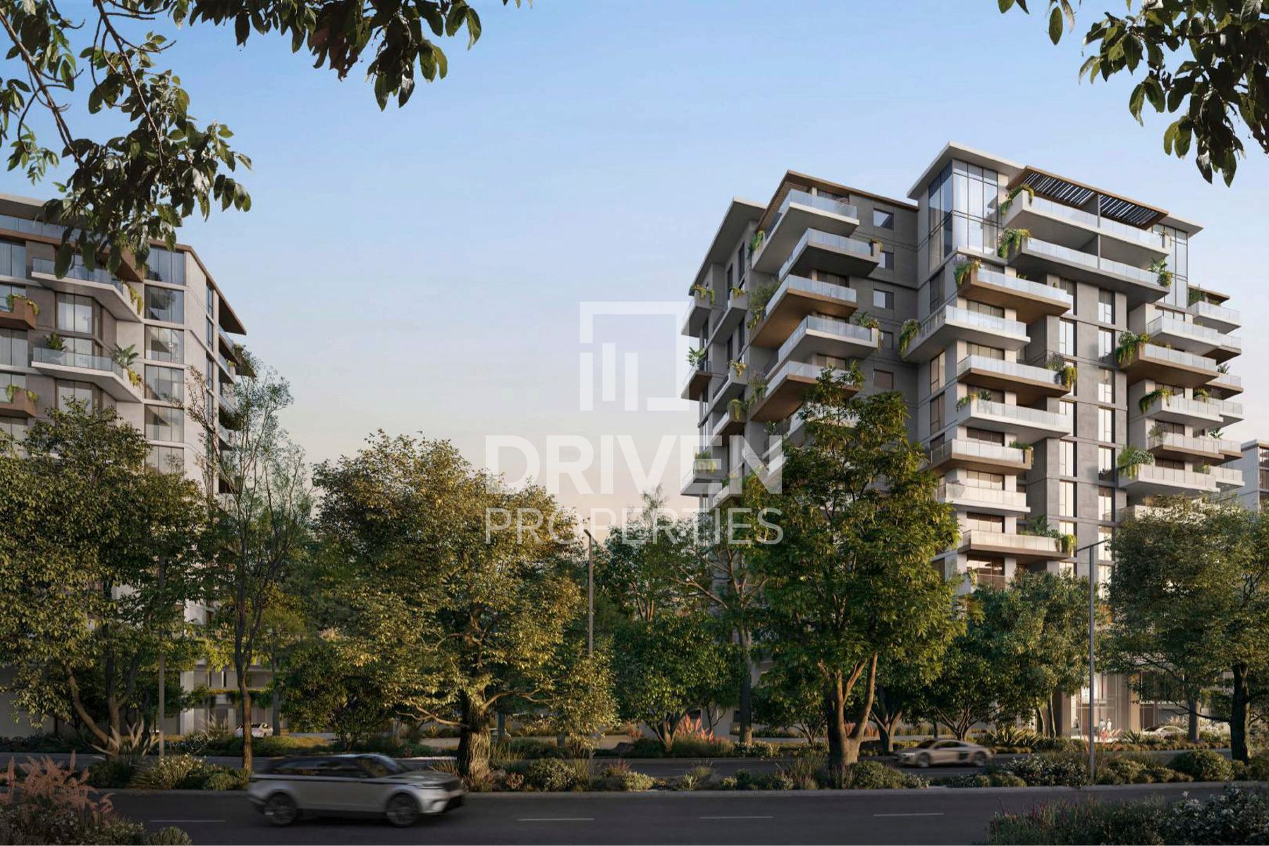 Exclusive | Forest Living | Large Size | 60/40 PP
