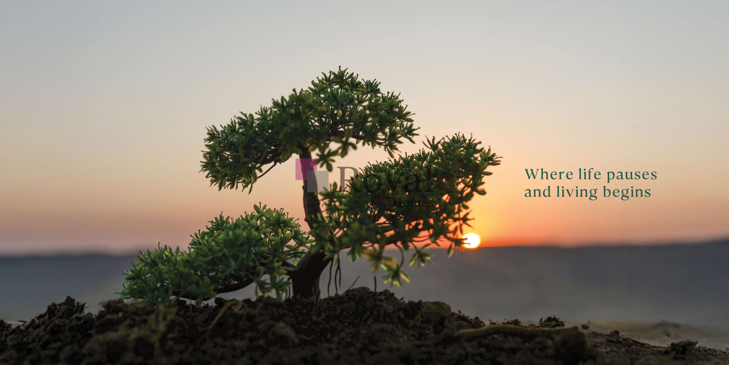 Eco-friendly living | nature-inspired | strong community