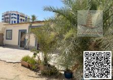 A traditional Arabic house with 6 rooms, 2 living rooms, and 6 bathrooms is available for rent in the Al Bustan area.
